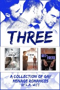 Cover-Bild zum Titel 'Three: A Collection of Gay Menage Romances' von 'L. A. Witt'