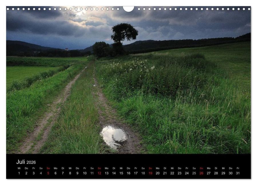 InsideView 12