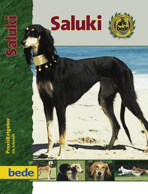 PraxisRatgeber Saluki - Iris Schmidt