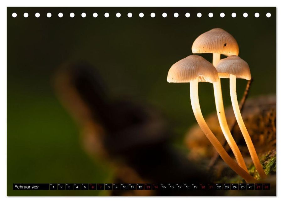 InsideView 7