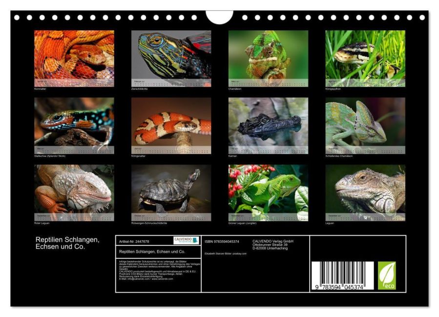 InsideView 5