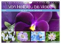 Von Hellblau bis Violett Blütenpracht (Wandkalender 2024 DIN A4 quer), CALVENDO Monatskalender - Gisela Kruse