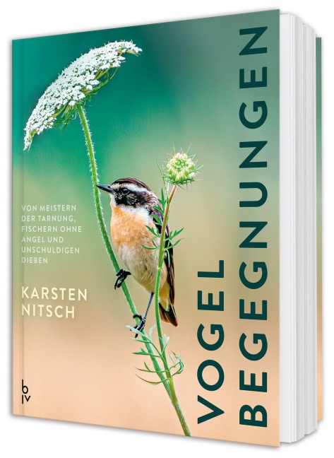 Vogelbegegnungen - Karsten Nitsch