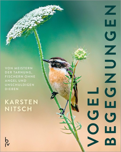 Vogelbegegnungen - Karsten Nitsch