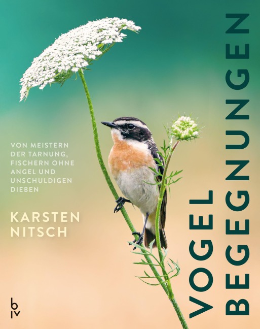 Vogelbegegnungen - Karsten Nitsch