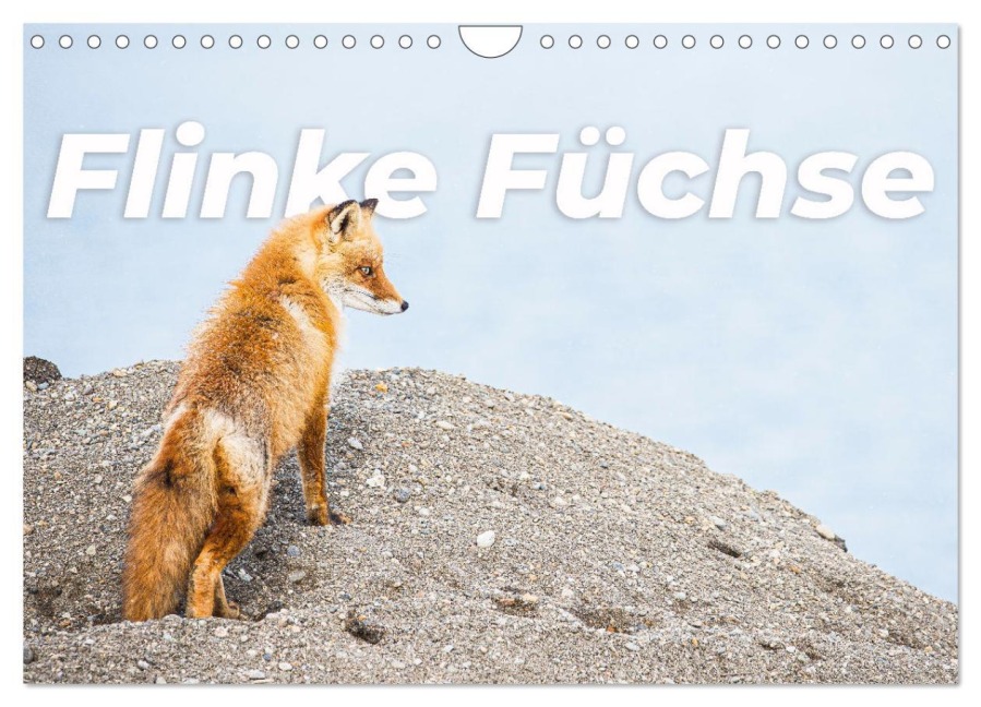 Flinke Füchse (Wandkalender 2026 DIN A4 quer), CALVENDO Monatskalender - Happy Monkey