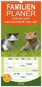 Familienplaner 2025 - Lächelnd durchs Jahr - Katzenkinder -Familienplaner hoch mit 5 Spalten (Wandkalender, 21 x 45 cm) CALVENDO - Susanne Danegger