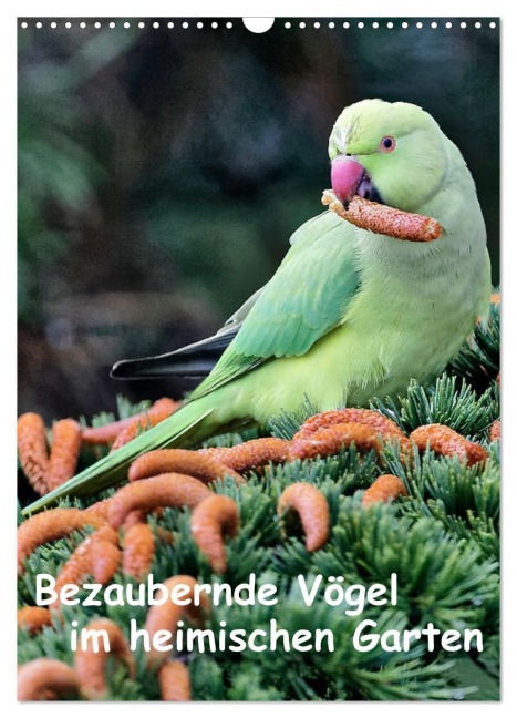 Bezaubernde Vögel im heimischen Garten (Wandkalender 2026 DIN A3 hoch), CALVENDO Monatskalender - Dieter Wilczek