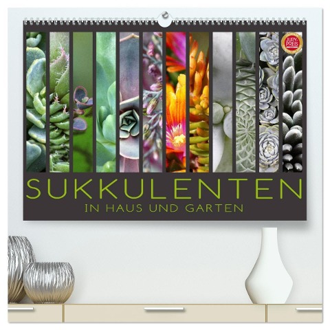 Sukkulenten in Haus und Garten (hochwertiger Premium Wandkalender 2024 DIN A2 quer), Kunstdruck in Hochglanz - Martina Cross