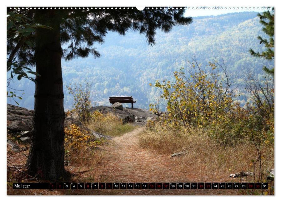 InsideView 10