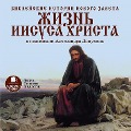 Cover-Bild zum Titel 'Biblejskie istorii Novogo Zaveta. ZHizn' Iisusa Hrista' von 'Aleksandr Lopuhin'