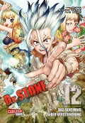 Cover-Bild zum Titel 'Dr. Stone 12' von 'Boichi, Riichiro Inagaki'