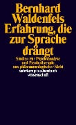Cover-Bild zum Titel 'Erfahrung, die zur Sprache drängt' von 'Bernhard Waldenfels'
