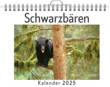 Cover-Bild zum Titel 'Schwarzbären' von 'Ava Wagner'