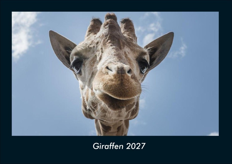 Giraffen 2027 Fotokalender DIN A4 - Tobias Schmitt, Kevin Heber