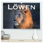 Cover-Bild zum Titel 'Löwen. Die Könige Afrikas (hochwertiger Premium Wandkalender 2026 DIN A2 quer), Kunstdruck in Hochglanz' von 'Robert Styppaa'