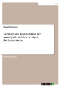 Cover-Bild zum Titel 'Vergleich des Rechtsinstitut der manicipatio mit den heutigen Rechtsinstituten' von 'David Hofmann'