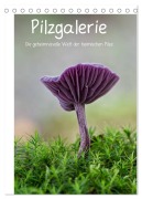 Pilzgalerie - Die geheimnisvolle Welt der heimischen Pilze (Tischkalender 2025 DIN A5 hoch), CALVENDO Monatskalender - Beate Wurster