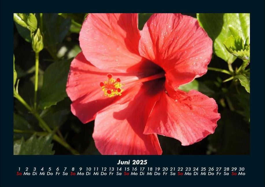 InsideView 10