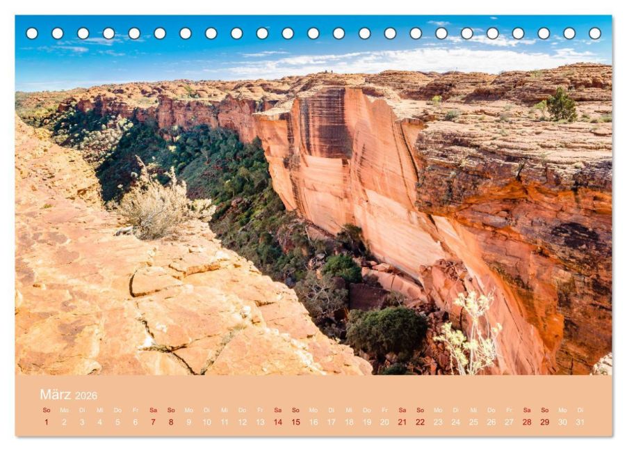 InsideView 8