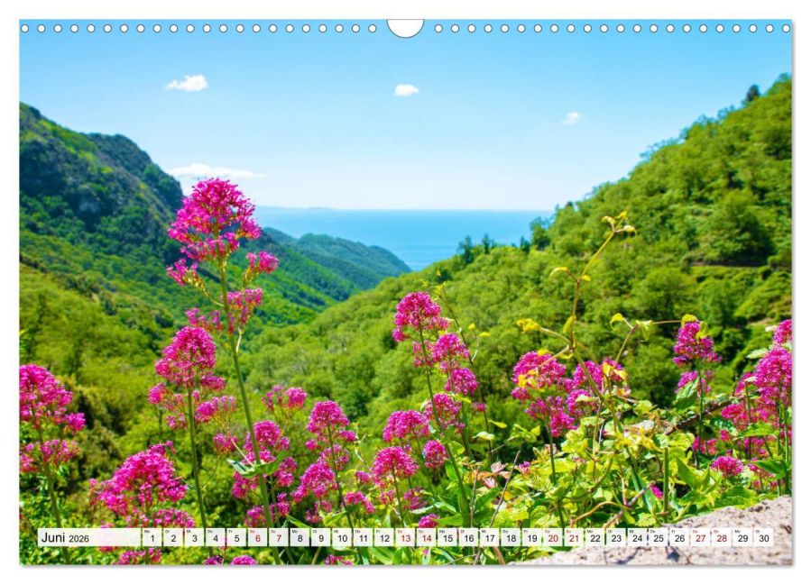 InsideView 11