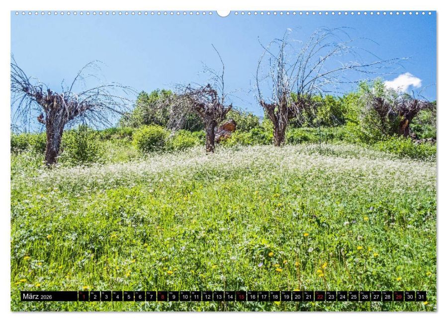 InsideView 8