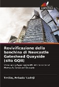 Cover-Bild zum Titel 'Revivificazione della banchina di Newcastle Gateshead Quayside (sito GQII)' von 'Teslim Ladeji'