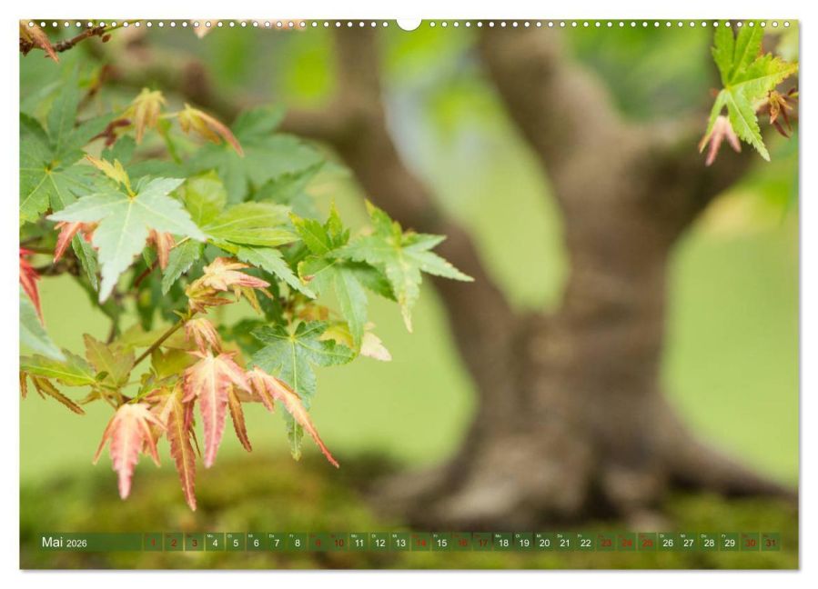 InsideView 10