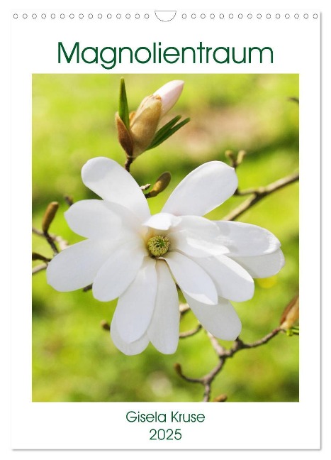 Magnolientraum (Wandkalender 2025 DIN A3 hoch), CALVENDO Monatskalender - Gisela Kruse