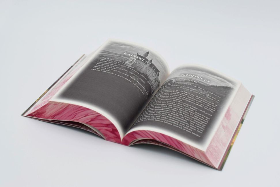 InsideView 12