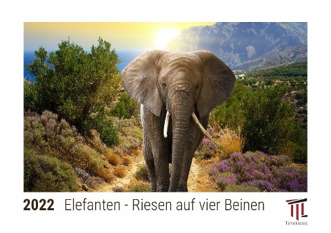 Elefanten - Riesen auf vier Beinen 2022 - Timokrates Kalender, Tischkalender, Bildkalender - DIN A5 (21 x 15 cm) - 