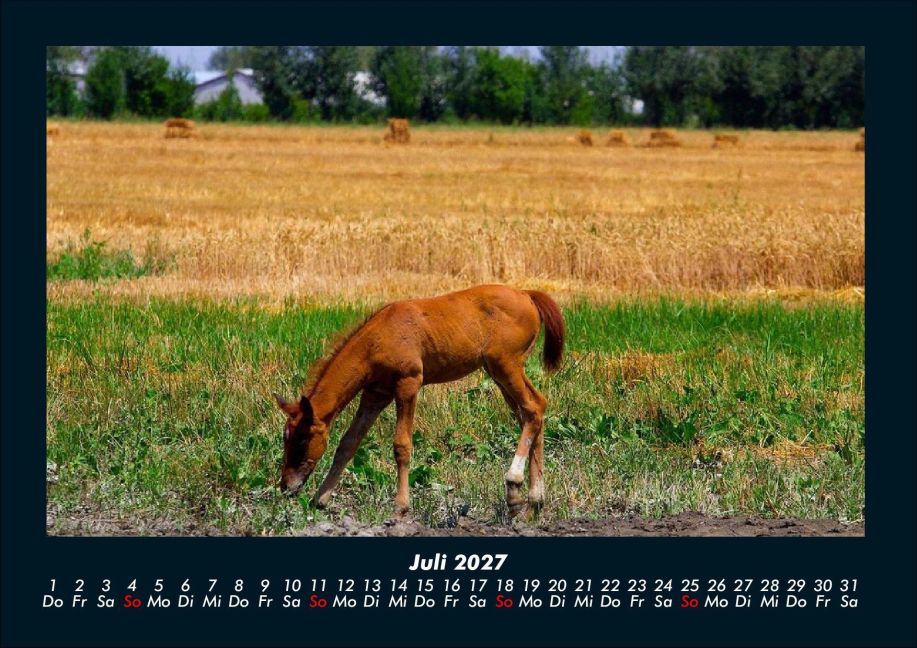 InsideView 11
