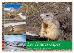 Cover-Bild zum Titel 'Les Hautes-Alpes sur les chemins des marmottes (Calendrier mural 2026 DIN A2 vertical), CALVENDO calendrier mensuel' von 'Alain Gaymard'