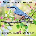 Cover-Bild zum Titel 'Sons apaisants de la nature (sans musique) pour un sommeil profond, la méditation et la détente' von 'Yella A. Deeken'