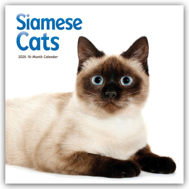 Siamese Cats - Siamesische Katzen - Siamkatzen 2026 - Wand-Kalender - Carousel Calendar