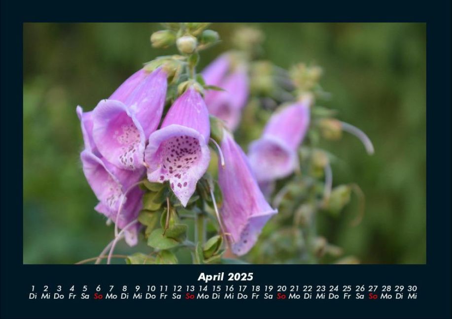 InsideView 8