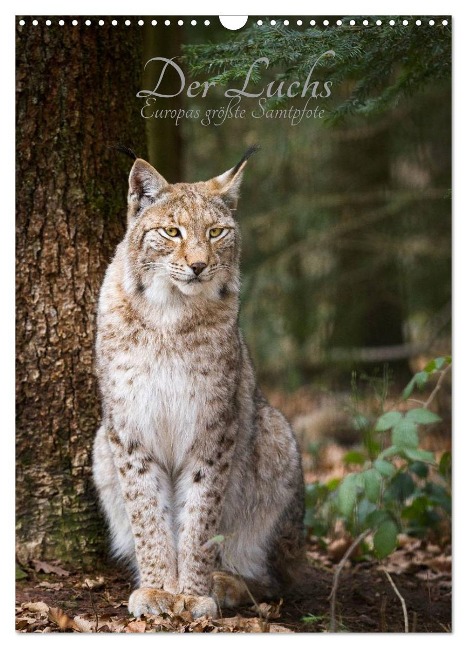 Der Luchs - Europas größte Samtpfote (Wandkalender 2025 DIN A3 hoch), CALVENDO Monatskalender - Cloudtail The Snow Leopard