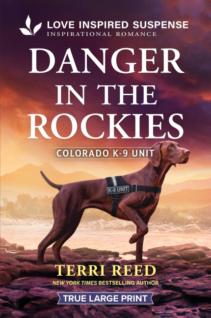 Danger in the Rockies - Terri Reed