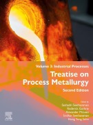 Cover-Bild zum Titel 'Treatise on Process Metallurgy' von ''