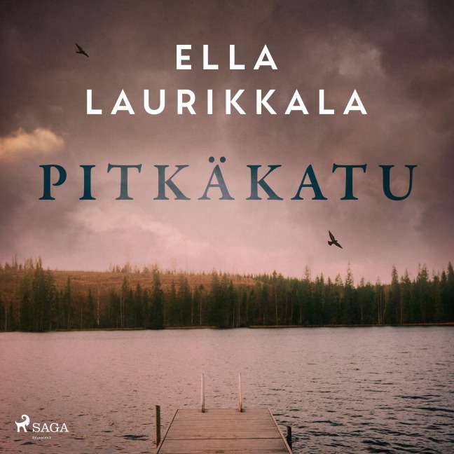 Pitkäkatu - Ella Laurikkala