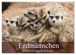 Erdmännchen (Wandkalender 2026 DIN A2 quer), CALVENDO Monatskalender - Elisabeth Stanzer