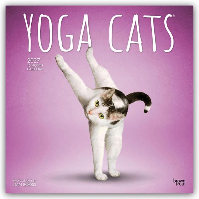 Yoga Cats - Katzen Yoga 2027 - 16-Monatskalender - Browntrout Publishers