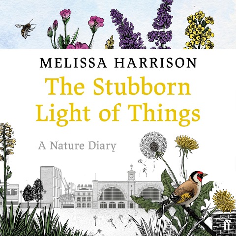 The Stubborn Light of Things - Melissa Harrison