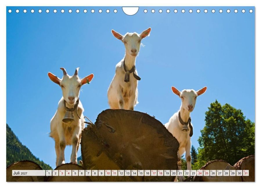 InsideView 12