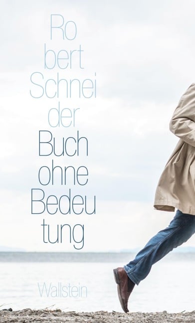 Buch ohne Bedeutung - Robert Schneider