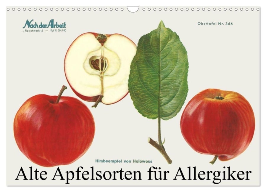 Alte Apfelsorten für Allergiker (Wandkalender 2025 DIN A3 quer), CALVENDO Monatskalender - Willi