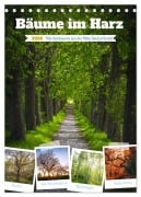 Bäume im Harz (Tischkalender 2026 DIN A5 hoch), CALVENDO Monatskalender - Steffen Gierok-Latniak