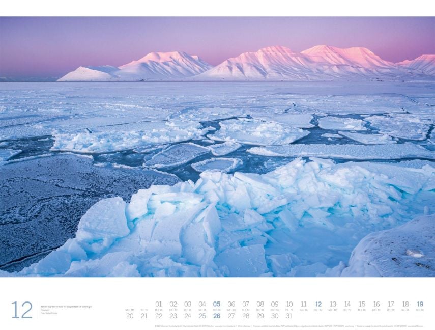 InsideView 12