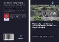 Cover-Bild zum Titel 'Wetlands van Zalingei Gebied (West Soedan) als Vogel Habitat' von 'Abdallah M. Abdallah Ahmed Korssi'