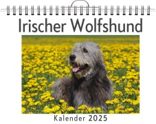 Cover-Bild zum Titel 'Irischer Wolfshund' von 'Julia Hartmann'